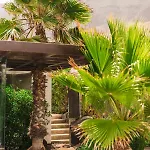 Casa Sua בית הארחה פאמארה