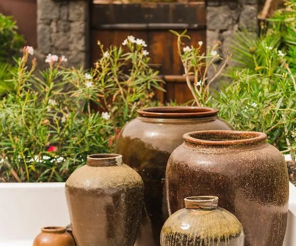 Casa Sua Pensionat 4*