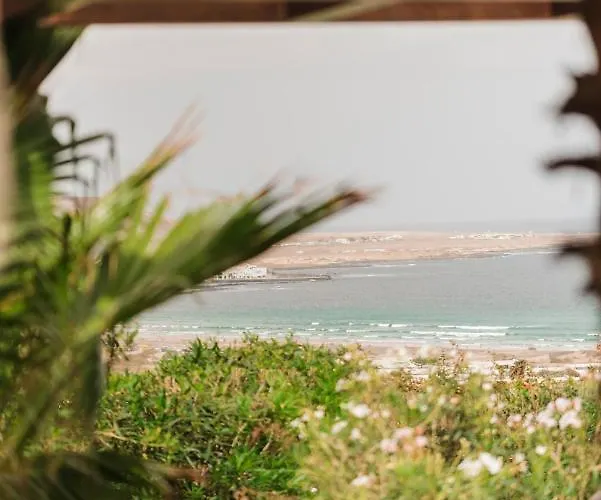 Guest house Casa Sua 4*