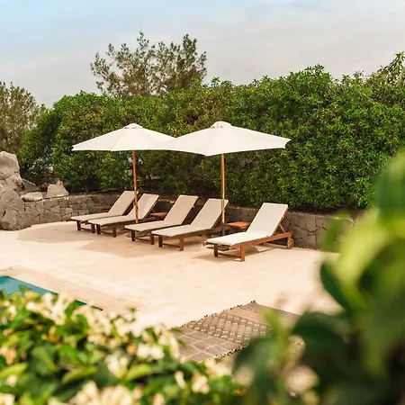 بيت ضيافة Casa Sua